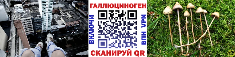 что такое   Остров  Псилоцибиновые грибы прущие грибы 